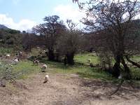 058 Monte Sette Fratelli